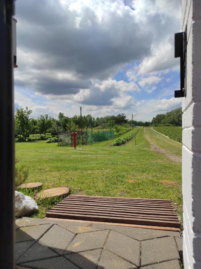 Agroturystyka Kobylnica Nad Wisla Exterior photo