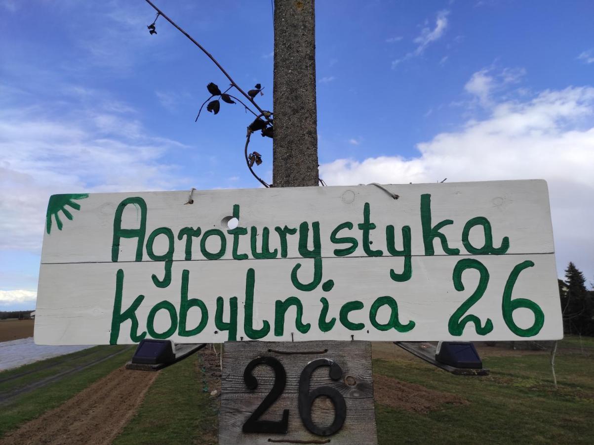 Agroturystyka Kobylnica Nad Wisla Exterior photo