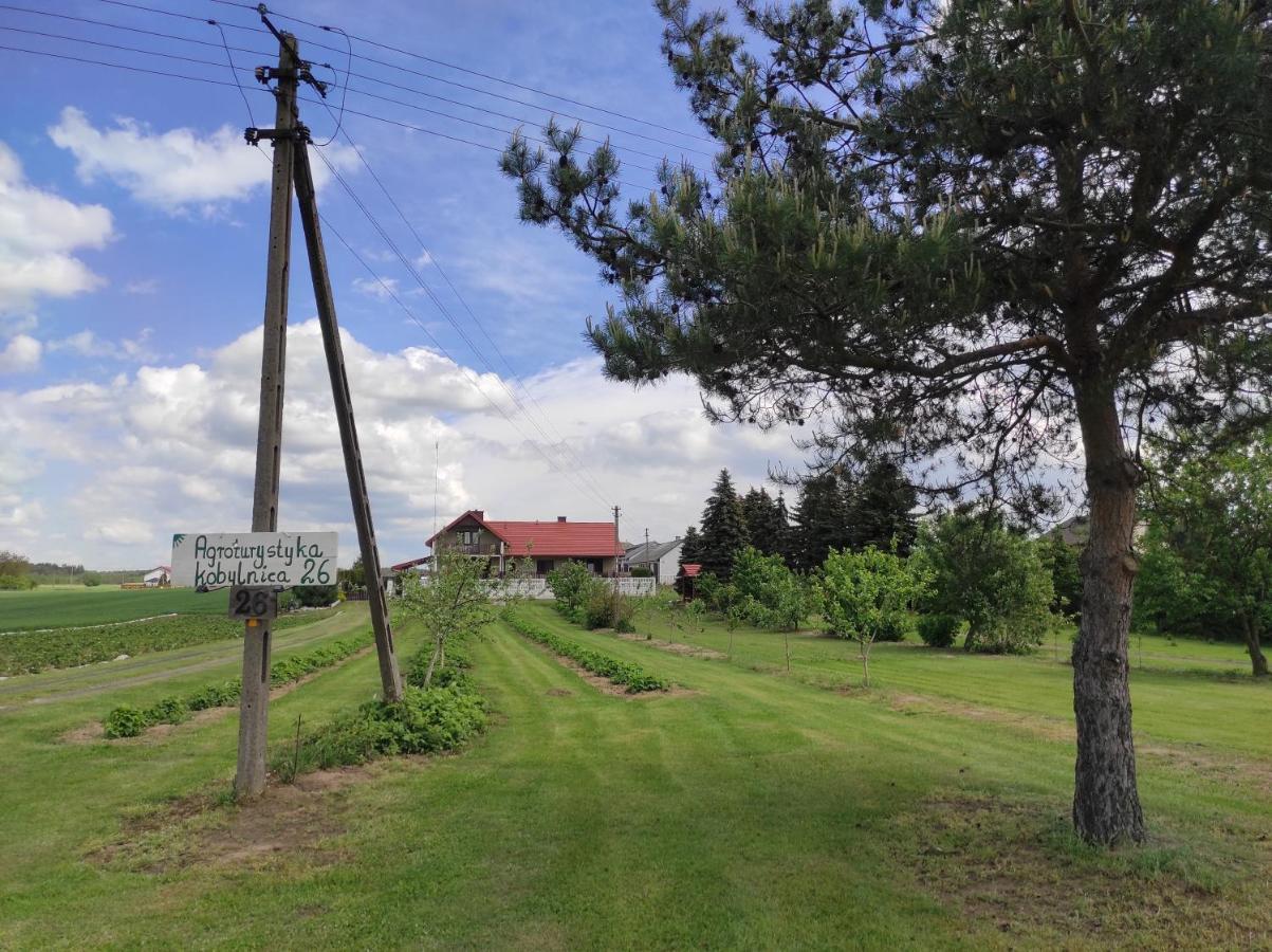 Agroturystyka Kobylnica Nad Wisla Exterior photo